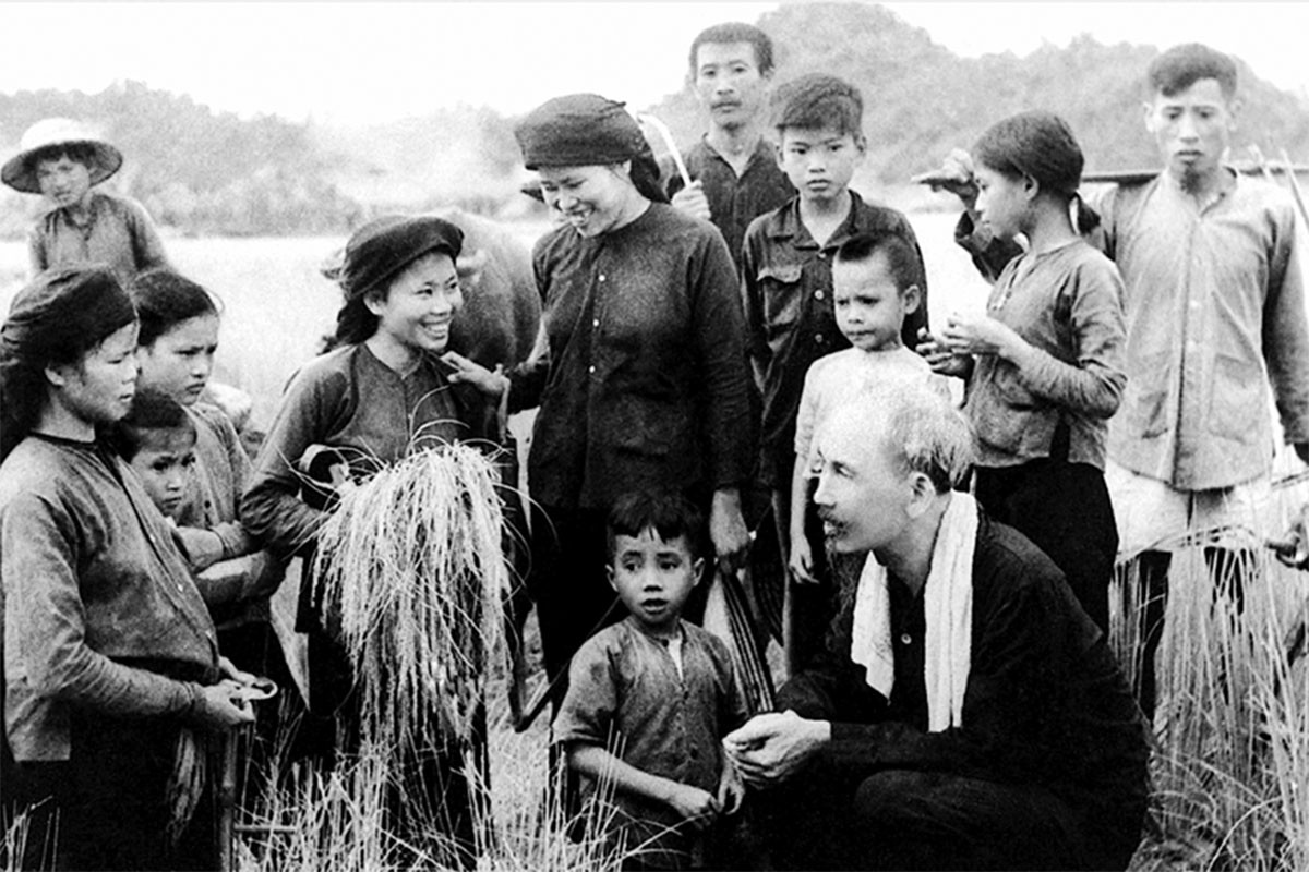 Từ bức thư năm ấy đến cánh đồng hôm nay!