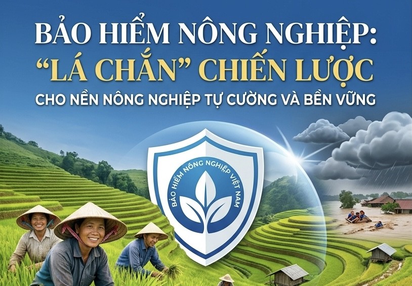 Bảo hiểm nông nghiệp: Giải pháp chiến lược cho nền nông nghiệp tự cường và bền vững