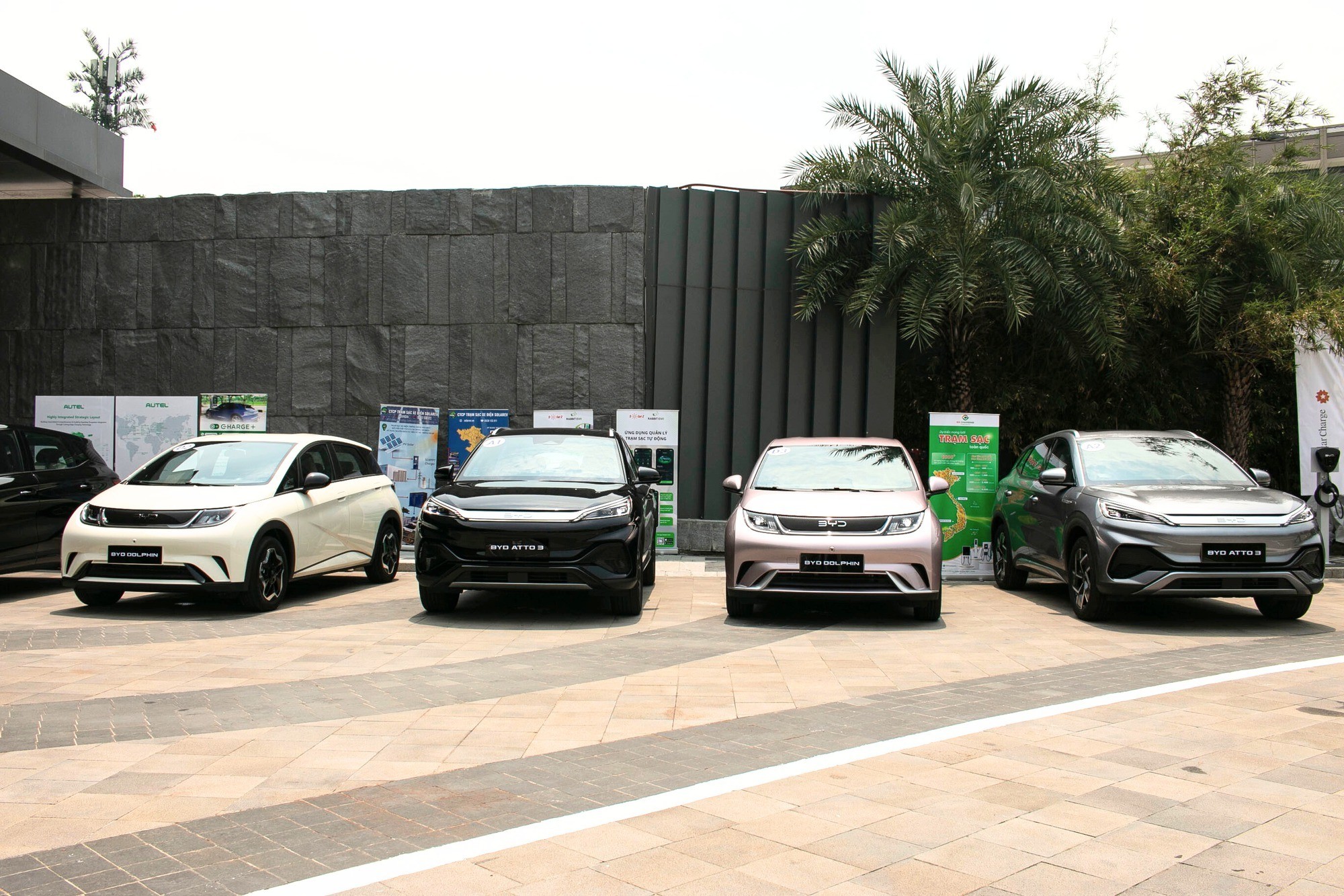 3-xe-byd-viet-nam-17187886275151-1718927752.jpg