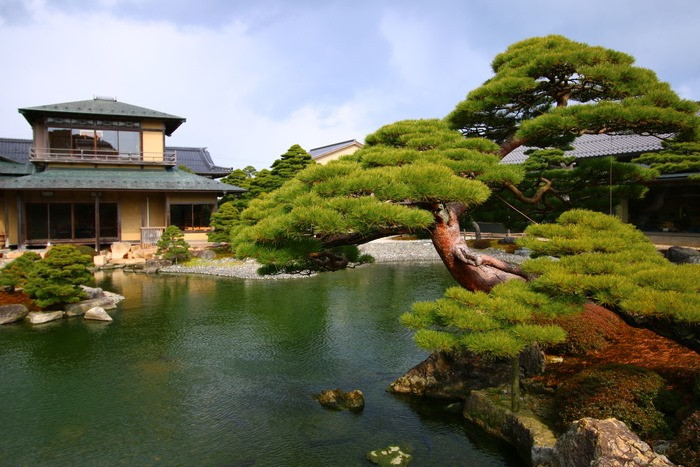 Vì sao nên thiết kế vườn theo phong cách Nhật?