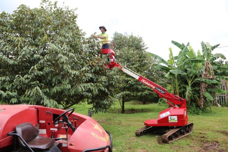 Sầu riêng Gia Bảo hiện thực hoá hành trình xuất khẩu chính ngạch