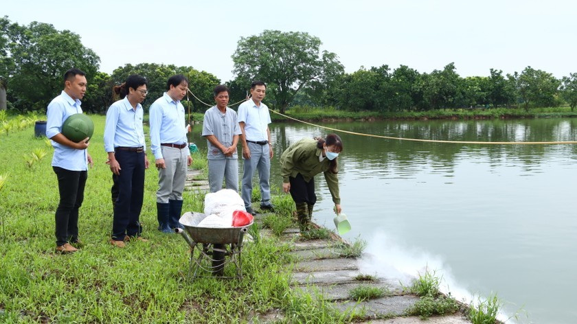 Hà Nội: Một số giải pháp khuyến nông để thúc đẩy sự phát triển nông nghiệp và phát triển nông thôn bền vững