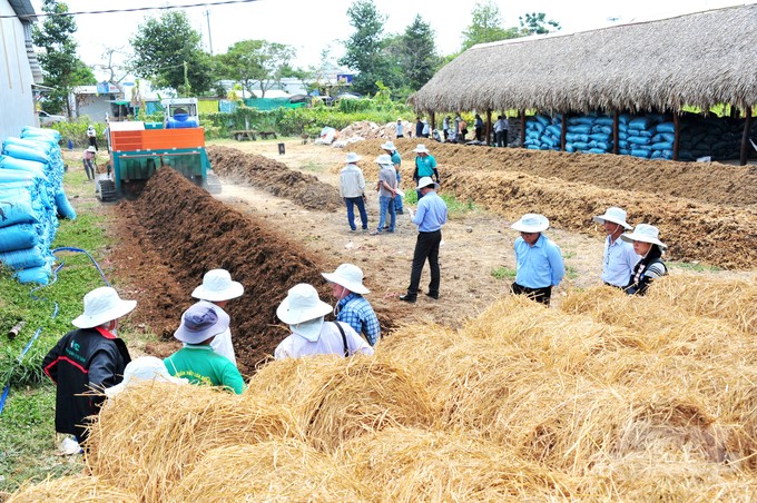 Cần Thơ: Sáng kiến Lớp học kinh doanh cho nông dân (FBS) nâng cao chuỗi giá trị lúa gạo và tích cực bảo vệ môi trường