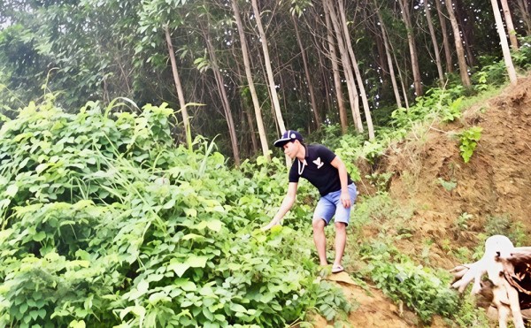 img-3213-1749354345.jpeg