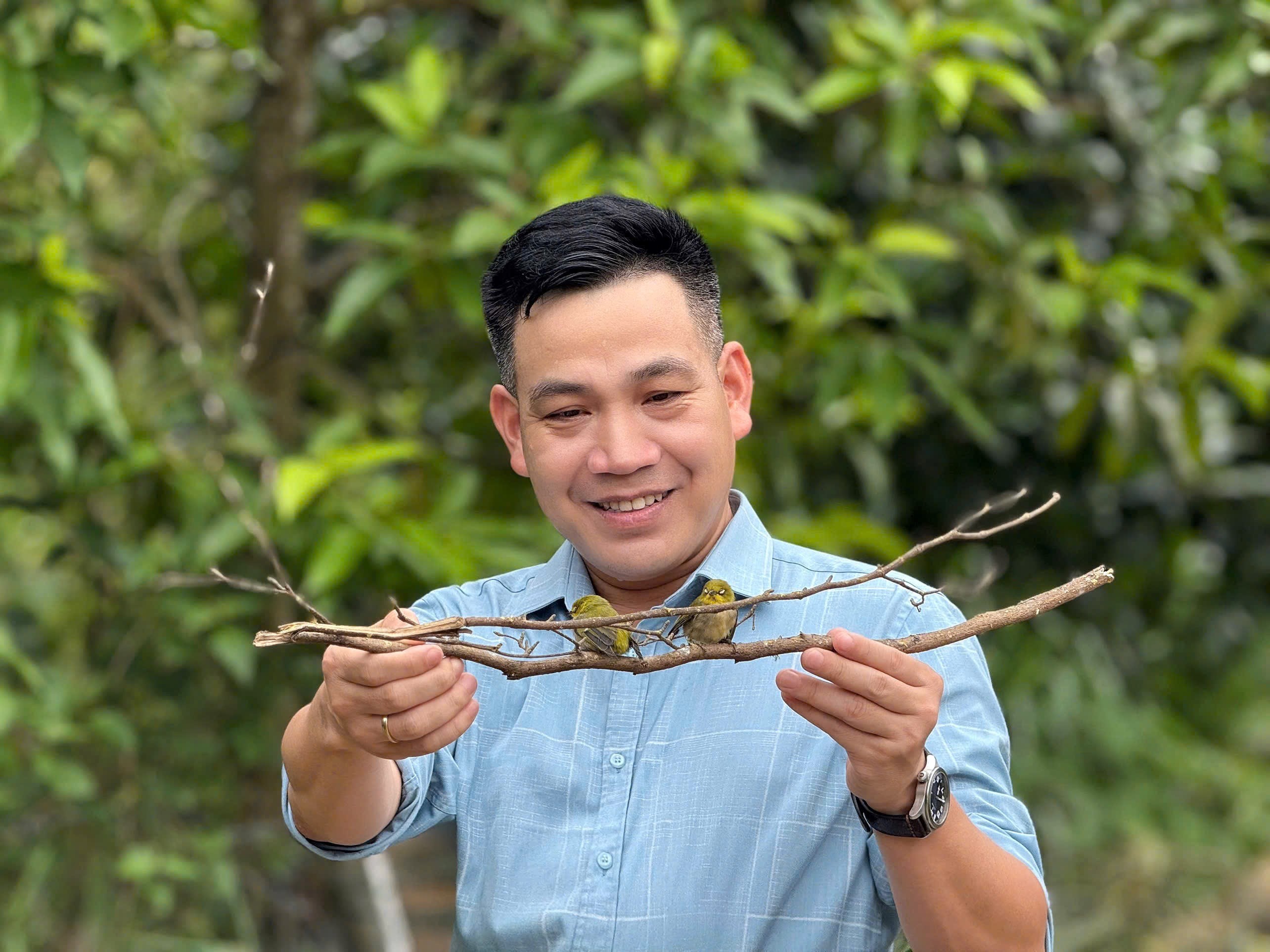 Chim Vành Khuyên: Vẻ đẹp giản dị và những điều thu hút đặc biệt