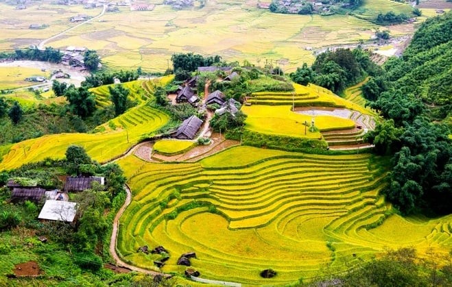 Những “nấc thang vàng” Y Tý: Mô hình nông nghiệp đa giá trị và bài học phát triển bền vững