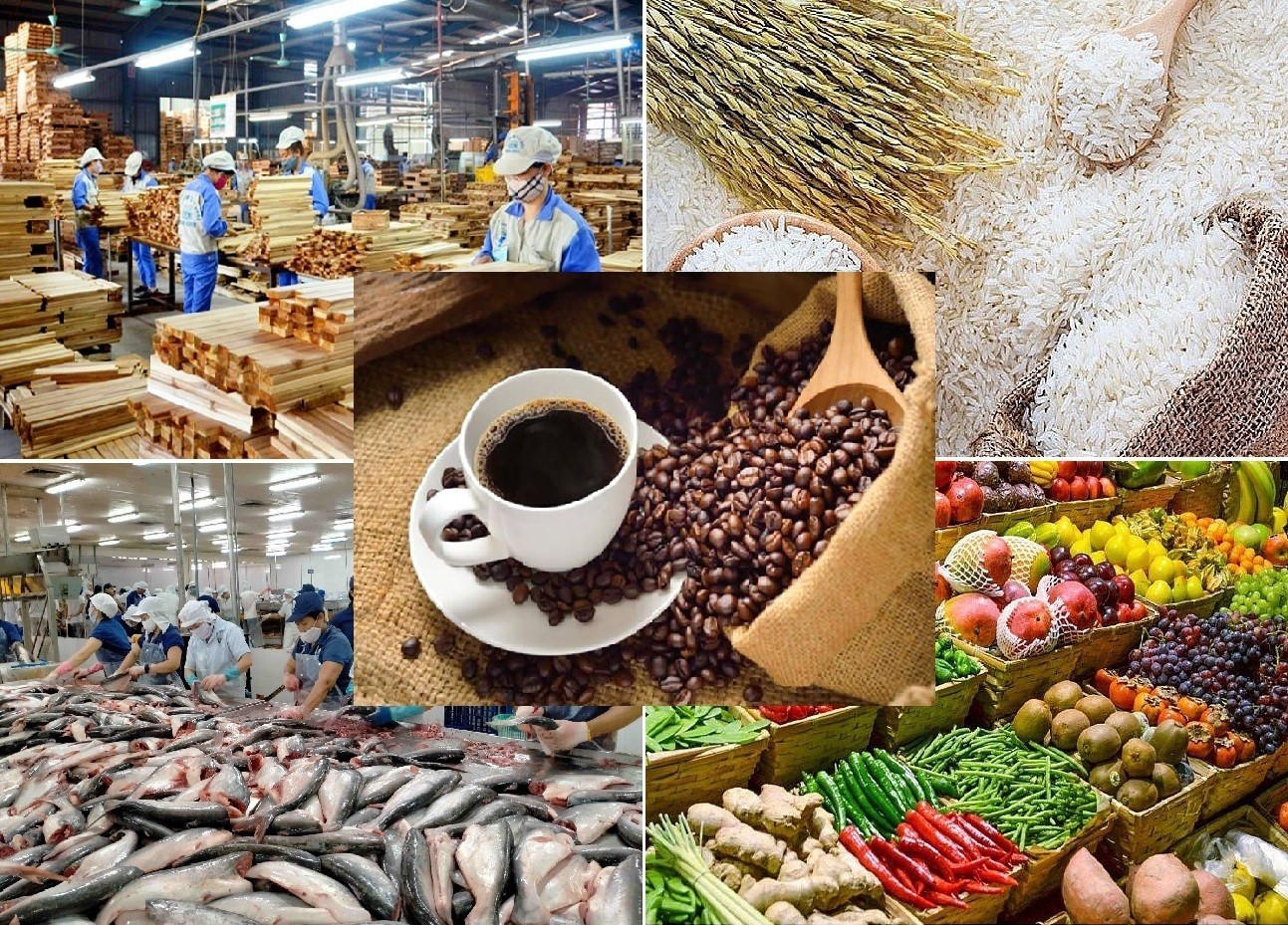 Nông sản Việt vươn tầm thế giới: Giáp pháp từ triết lý tối ưu toàn cục