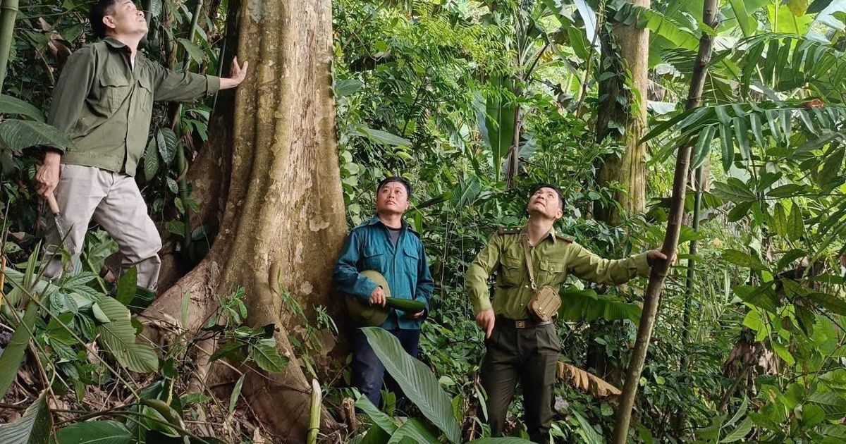 Tuyên Quang: Hạt Kiểm lâm Khu vực IV tuyên truyền bảo vệ rừng
