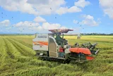 Từ những bình luận tiêu cực trên không gian mạng đến yêu cầu bảo vệ nền tảng tư tưởng của Đảng trong lĩnh vực kinh tế tập thể