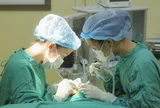 Chủ quan với lỗ nhỏ trước tai, cô gái nhiều lần bị áp xe