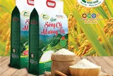 Nông dân Việt Nam xuất sắc nâng tầm gạo Séng Cù Mường Vi đạt chuẩn OCOP