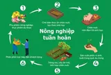 TS. Nguyễn Văn Bộ: Bàn về xu hướng Nông nghiệp tuần hoàn
