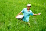 TS. Nguyễn Văn Bộ: Nâng cao hiệu quả sử dụng phân bón: định hướng và giải pháp (Phần 1)