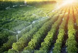 Cơ sở lý luận và thực tiễn phát triển nông nghiệp hữu cơ, nông nghiệp sinh thái, tuần hoàn trong định hướng thực hiện các mục tiêu phát triển bền vững