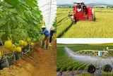 Mối quan hệ giữa phát triển kinh tế tập thể và xây dựng nông thôn mới trong tiến trình hiện đại hóa ở Việt Nam