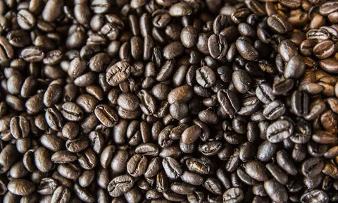 Lần đầu cà phê Việt Nam đạt doanh thu xuất khẩu vượt 3 tỷ USD chỉ sau 6 tháng đầu năm
