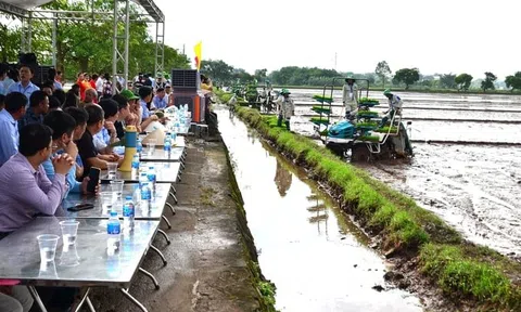 Hội thi "Người Vận Hành Máy Cấy Giỏi Vụ Mùa Năm 2024" tại Phú Xuyên: Mưa lớn không làm chùn bước nông dân