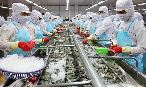 Xuất khẩu thủy sản Việt Nam 2024: Tăng trưởng mạnh mẽ nhưng đối mặt với thách thức giá cả