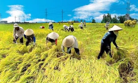 Sáu tháng đầu năm ngành nông nghiệp phát triển ổn định, tiếp tục khẳng định vai trò trụ đỡ của nền kinh tế