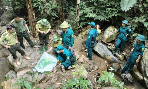 Tuyên Quang: Chùm ảnh Trạm kiểm lâm Chinh (Chiêm Hoá) tuần tra, bảo vệ rừng