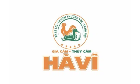  Hà Nội: Thường Tín hướng tới xây dựng thương hiệu gia cầm, thủy cầm Hà Vĩ