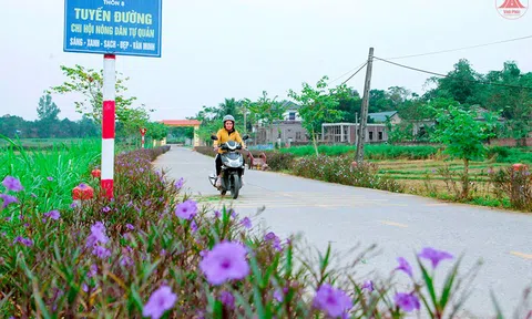 Vĩnh Phúc: Xã Hoàng Hoa (Tam Dương) xây dựng tuyến đường sáng - xanh - sạch - đẹp - văn minh