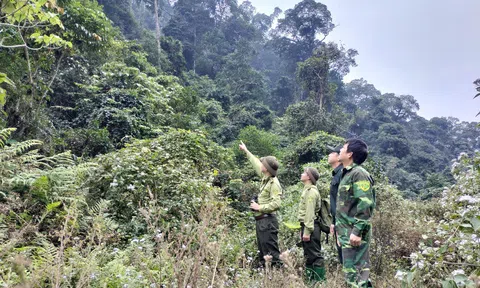 Tuyên Quang: Chùm ảnh Trạm Kiểm lâm Khu A (Na Hang) tuần tra bảo vệ rừng