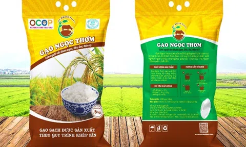 Tình cây và đất: Những sản phẩm gạo sạch