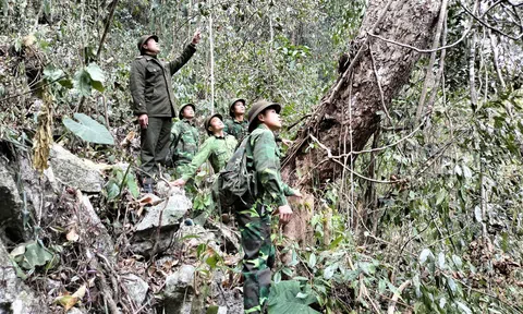 Tuyên Quang: Trạm Kiểm lâm Phúc Sơn (Lâm Bình) giữ rừng ngày Xuân