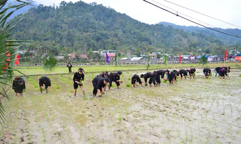 Bài thơ: Lễ hội xuống đồng