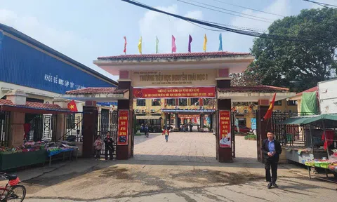 Vĩnh Phúc: Chỉ đạo Trường Tiểu học Nguyễn Thái Học 1 (Thổ Tang) xử lý nghiêm giáo viên có hành vi không chuẩn mực đối với học sinh