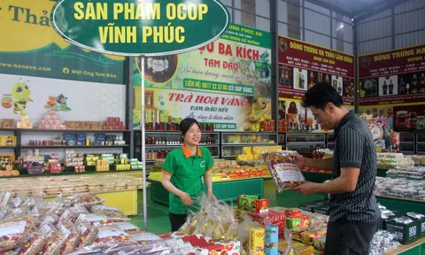 Vĩnh Phúc: Trạm dừng nghỉ IC4 Tam Đảo Xanh quảng bá sản phẩm đặc trưng địa phương