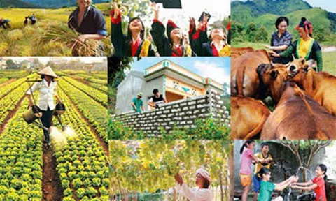 Thành lập Ban Chỉ đạo Trung ương các chương trình mục tiêu quốc gia giai đoạn 2021 - 2025