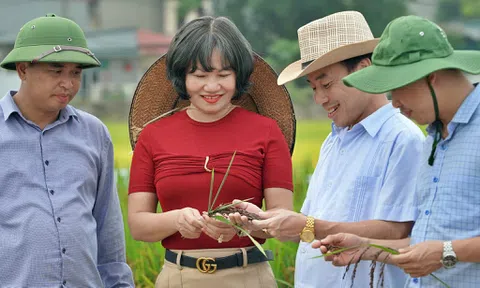 CETDAE: Hành trình thầm lặng tạo ra “bữa cơm không đường” cho người tiểu đường và người cao tuổi
