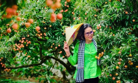 Thanh Hà – Miền quả ngọt bình yên giữa mùa vải chín cùng CEO Huyền Phạm