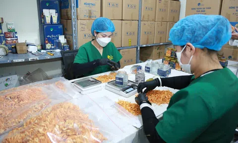 Vĩnh Phúc: Hợp tác xã Nấm Tam Đảo được công nhận là doanh nghiệp xuất sắc