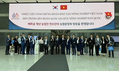 Nông dân trẻ Việt Nam thăm quan thực tế mô hình nông nghiệp tiên tiến Hàn Quốc