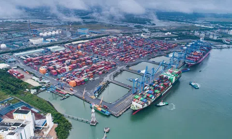 Việt Nam: Điểm sáng trong Top 7 thị trường nuôi trồng thủy sản bền vững toàn cầu