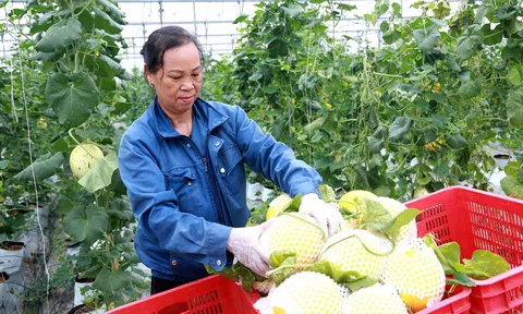 Phú Thọ: Tam Dương xây dựng Đảng vững mạnh, phát huy dân chủ, thúc đẩy chuyển đổi số, phát triển bền vững