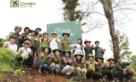 Cỏ Mềm chung tay hồi sinh 6ha rừng tại bản Mầu Thái, Sơn La
