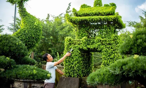 Thú chơi cây cảnh: Từ truyền thống đến giải pháp phát triển bền vững