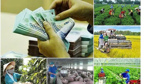 Gỡ vướng cho các chương trình mục tiêu quốc gia: Chính phủ chỉ đạo quyết liệt