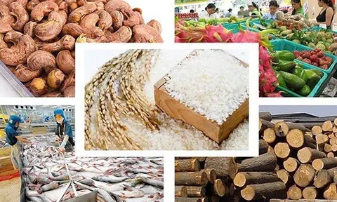 Tối ưu chuỗi giá trị nông sản Việt: Hướng đi nào cho xuất khẩu bền vững?