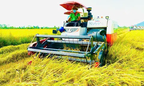Con đường đột phá của nông sản Việt: Hướng tới 100 tỷ USD cần những giải pháp cụ thể nào?