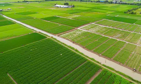 Nông nghiệp sinh thái: Hướng đi tất yếu cho sự phát triển bền vững của Việt Nam