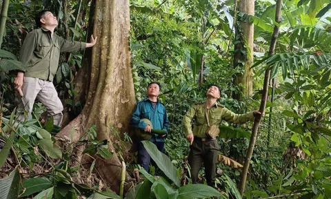 Tuyên Quang: Hạt Kiểm lâm Khu vực IV tuyên truyền bảo vệ rừng