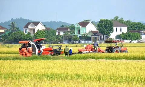 Tăng tốc xuất khẩu, nông nghiệp Nghệ An vẫn cần giải pháp đột phá