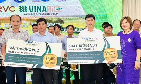 Vinarice: Hướng tới ngành lúa gạo phát thải thấp và bền vững
