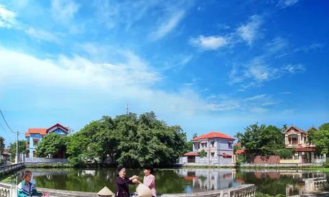 Phú Thọ: Ngành Nông nghiệp và Môi trường khẳng định vai trò trụ cột trong phát triển bền vững ( Bài 2)