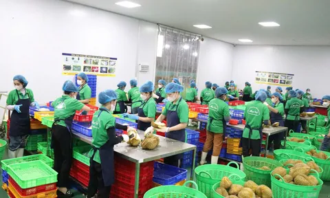 Đẩy mạnh xuất khẩu 2025: Chính phủ yêu cầu các bộ, ngành và địa phương tập trung tháo gỡ khó khăn, mở rộng thị trường